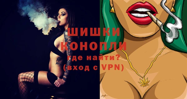 стафф Великий Новгород