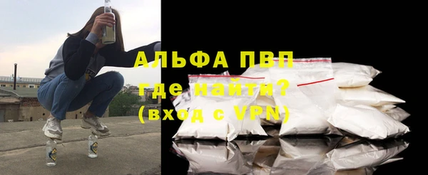 стафф Великий Новгород