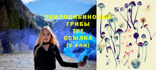 стафф Великий Новгород