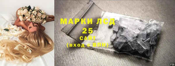 стафф Великий Новгород