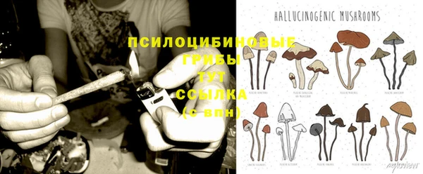 стафф Великий Новгород