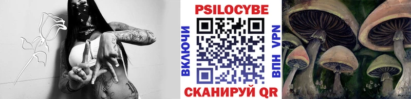 Купить где  Торжок  Псилоцибиновые грибы Cubensis 